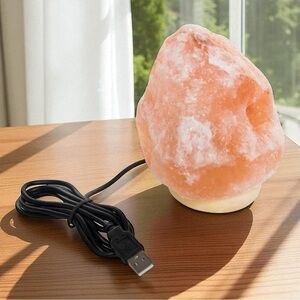 Himalayan Salt Lamp on Wood Base USB Powered